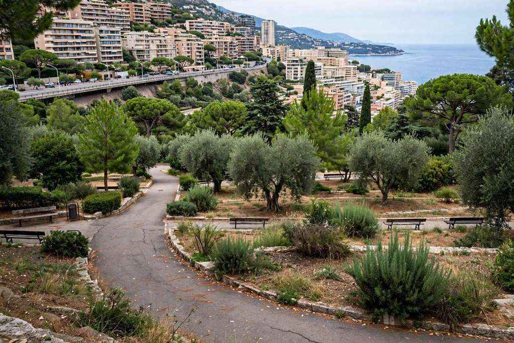 Antoine de Massy, Prince Albert II's Cousin, Dies Aged 29 in Monaco