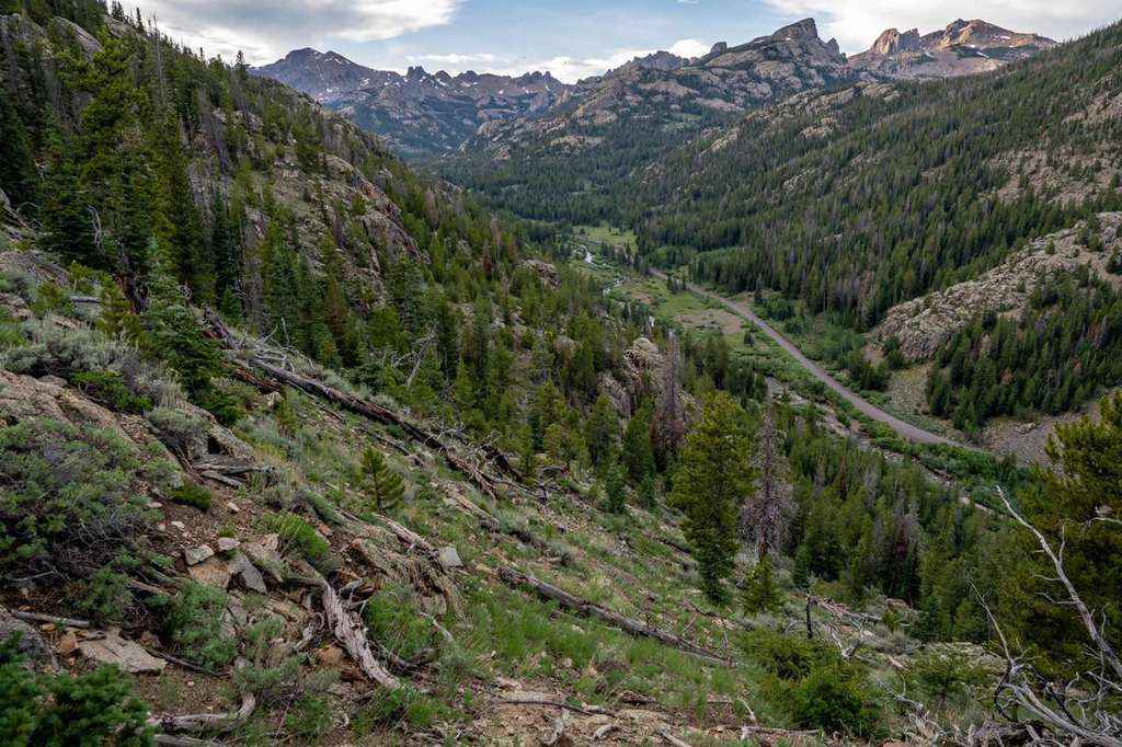 Father and Two Teenage Sons Killed in Plane Crash Near Swampy Pass in Colorado