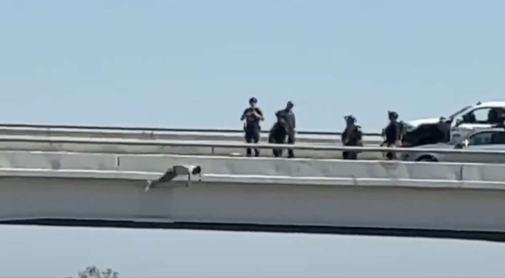 Man Falls From Dallas Overpass After Standoff Shut I-20 and I-45 for Hours