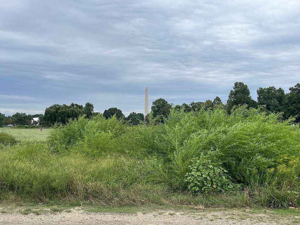 Justice Department Moves to Remove Judge in East Potomac Golf Course Case
