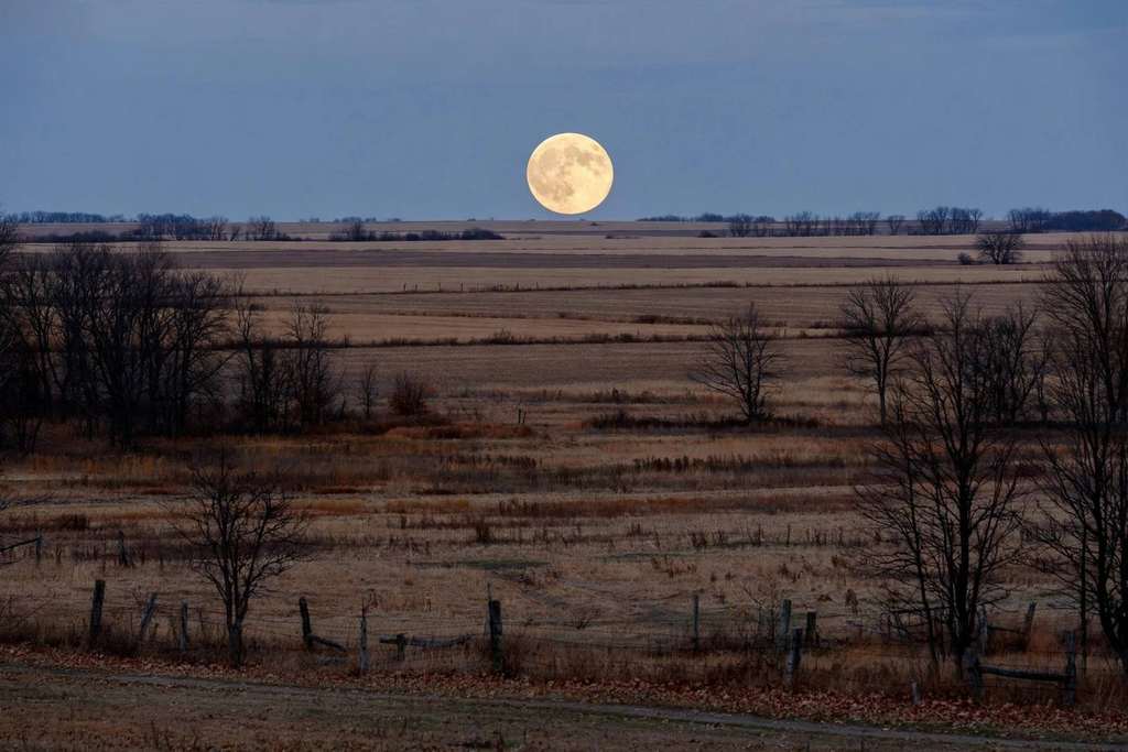 Full Moon Tonight: Hunter's Moon Peaks Oct 26 at 12:12 A.M. EDT