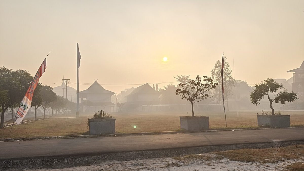 Indonesia Blames Peatland Damage for Worst Wildfire Season in 11 Years