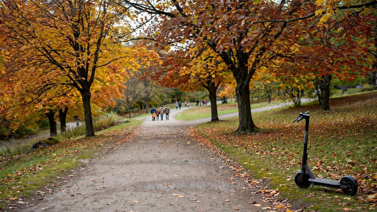 Montreal Borough Bans E-Scooters From Parks, Trails and Sidewalks