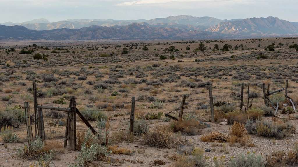 New Mexico Sues Epstein's Lawyer and Accountant Over Trafficking
