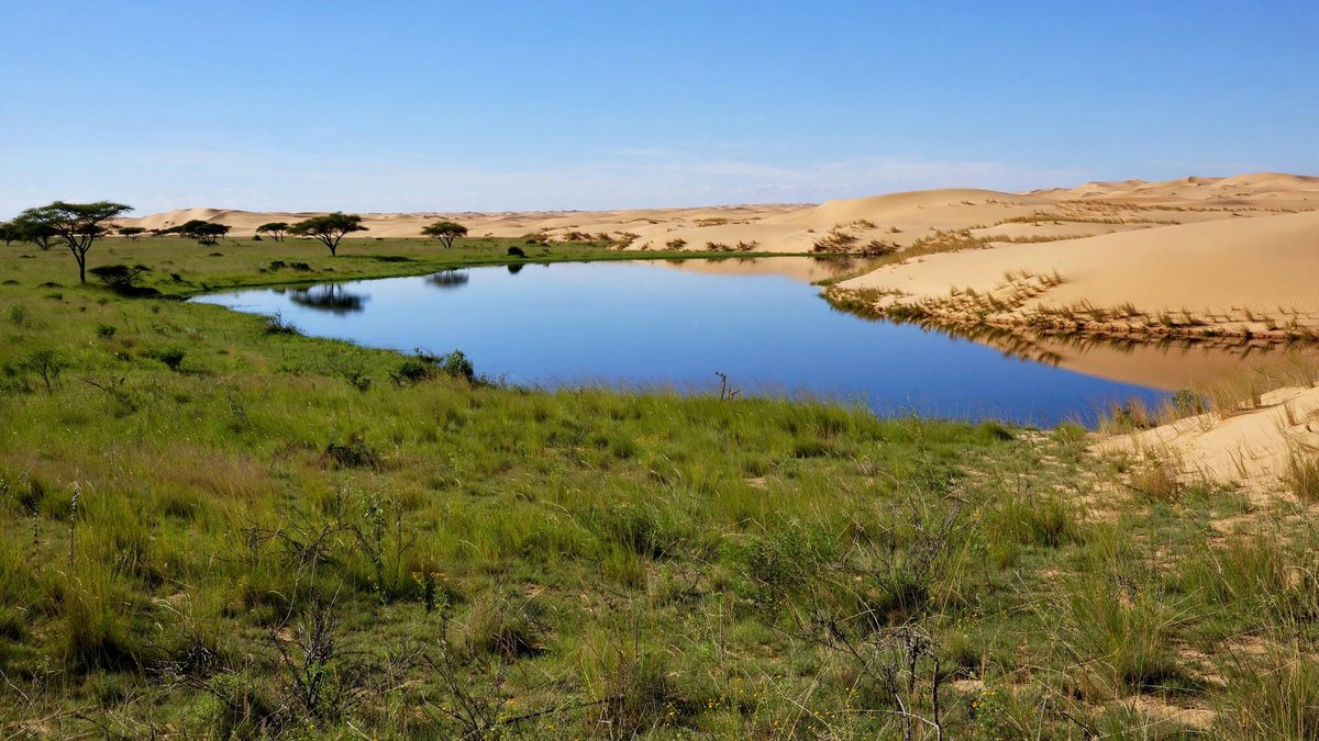 The Sahara Was Once Green, With Lakes, Rivers and Hippos