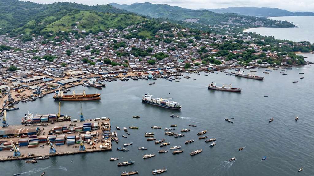 Amnesty Urges Sierra Leone to Halt Repatriation of Three US Deportees