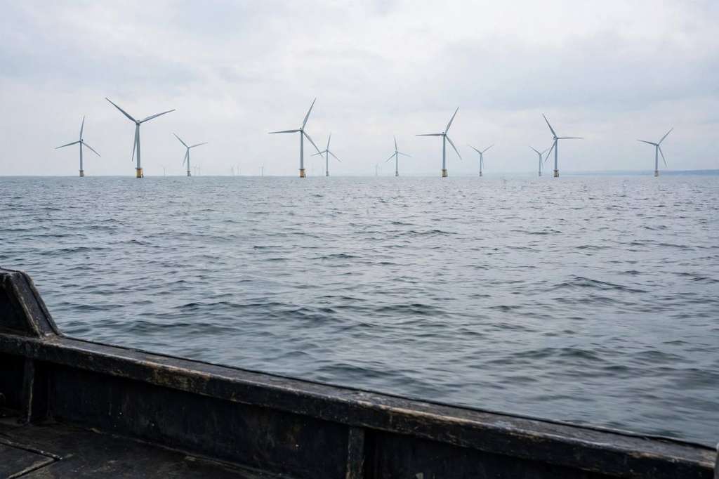 Trump Administration Asks Court to Reopen Permit for New England Wind Farm Off Massachusetts
