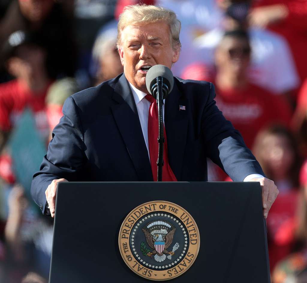 Trump Offers $1 Million for Voter Fraud Tips That Lead to Convictions