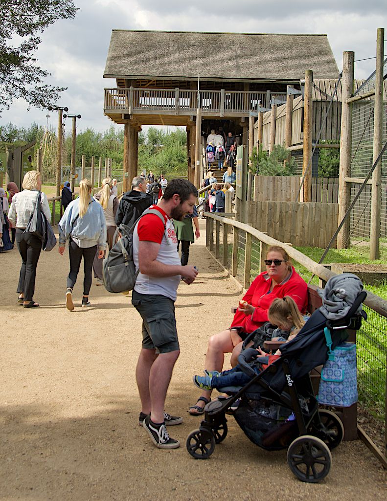 Man Killed by Tiger at UK Wildlife Park Named as William Chapman